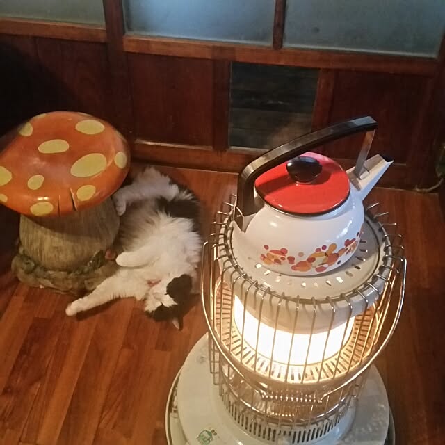 Anmituさんの実例写真