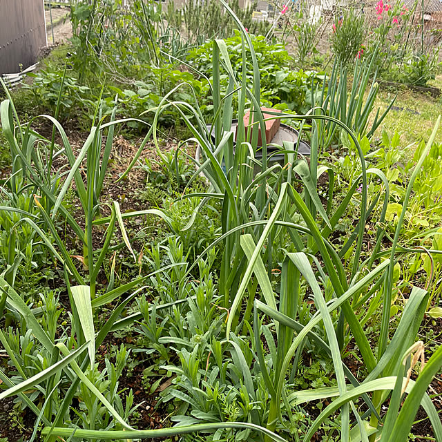natsumiさんの部屋