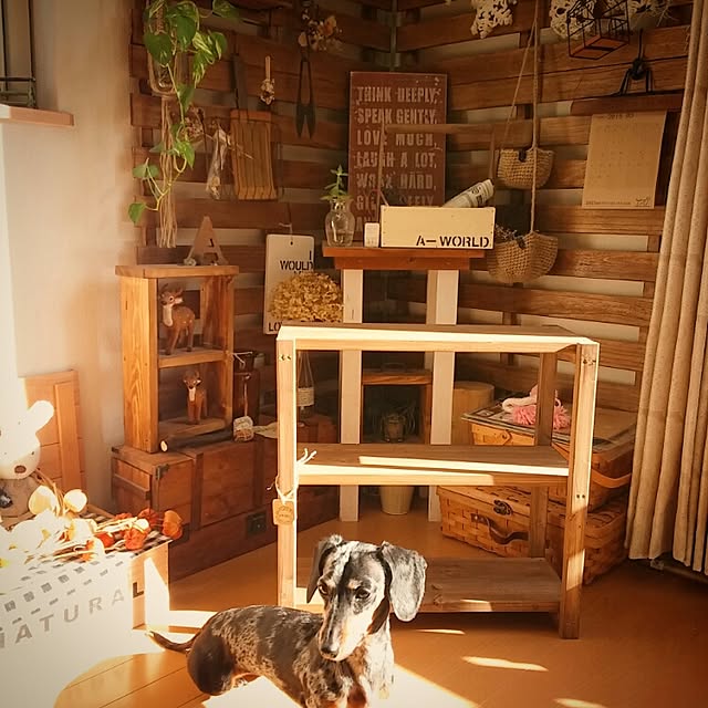 ayuminさんの実例写真