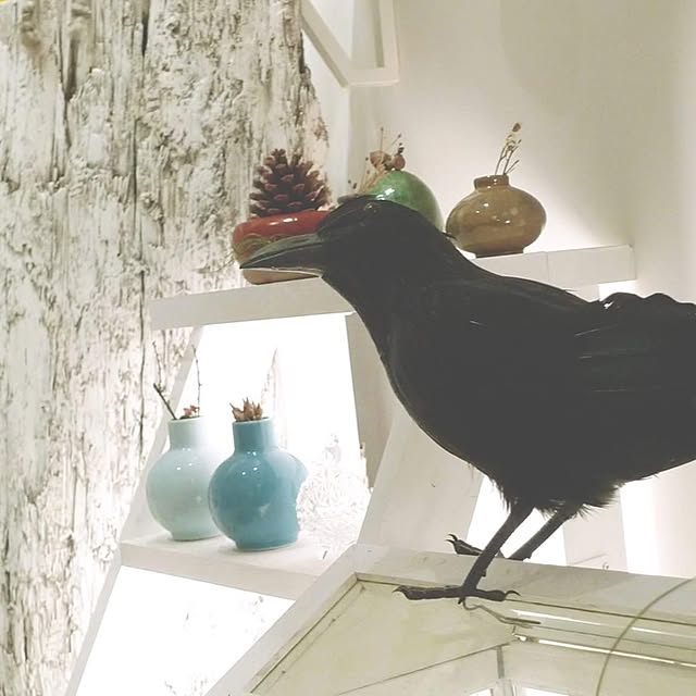 ienokataさんの実例写真