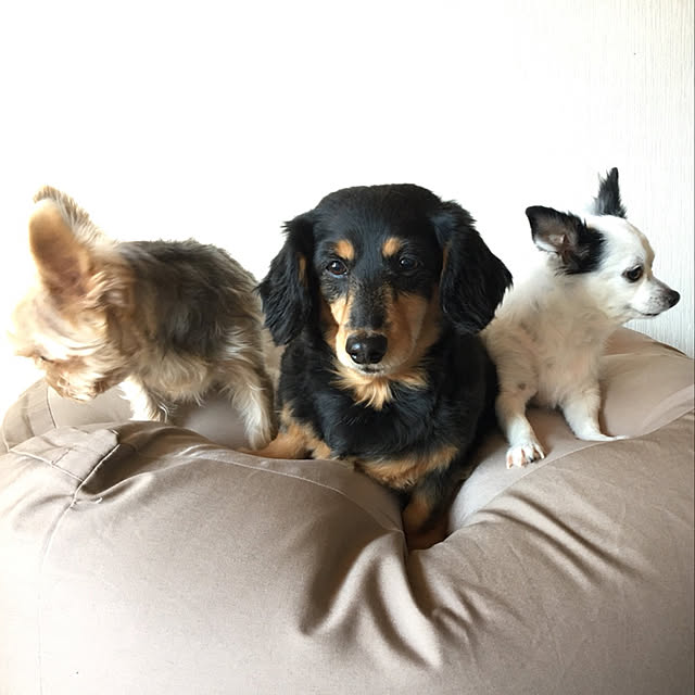 ohanaさんの実例写真
