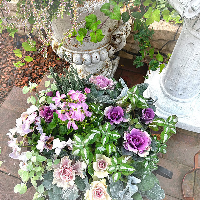 soraさんの実例写真