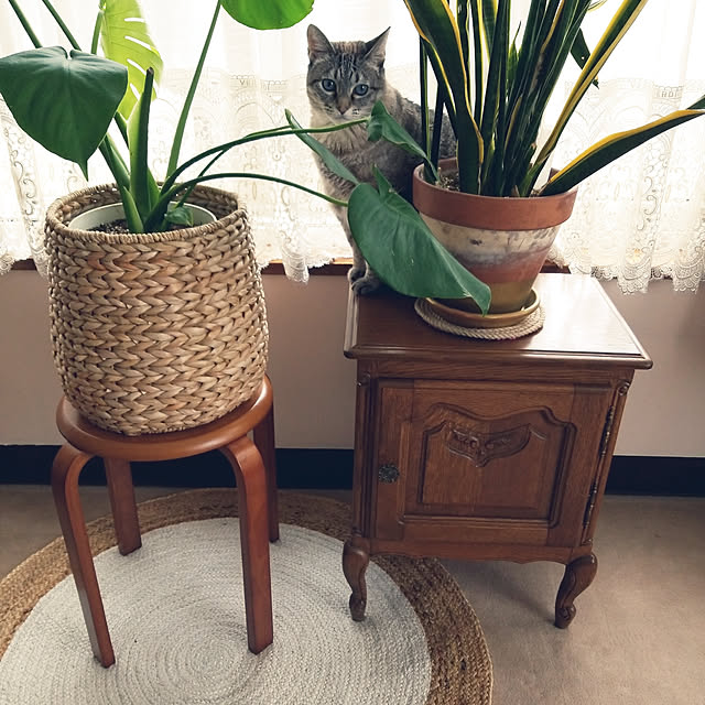 neoさんの実例写真