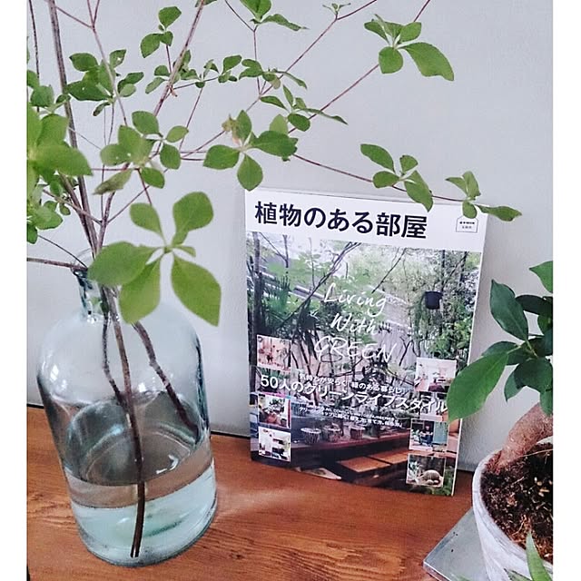 asasaさんの実例写真