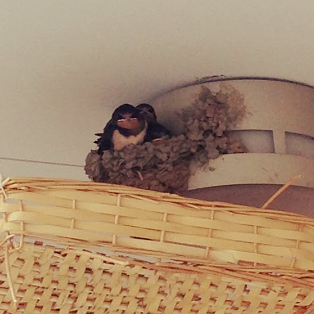 Yukoさんの実例写真