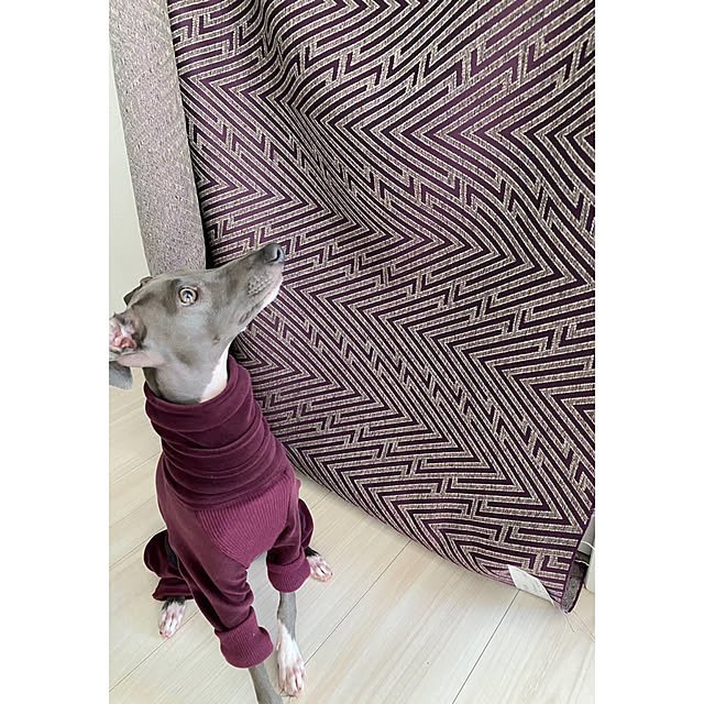 riakanaさんの実例写真