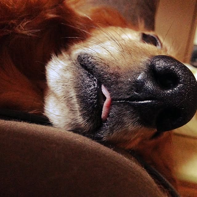 maruさんの実例写真
