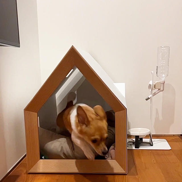 casa_omameさんの実例写真