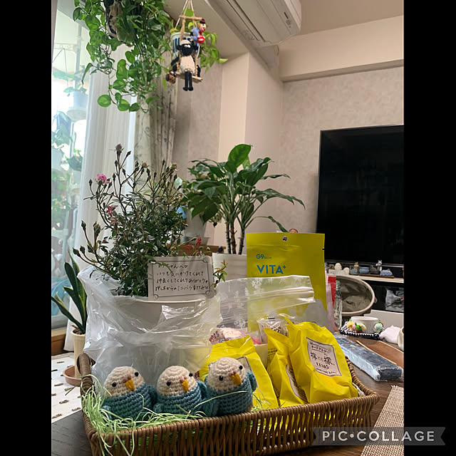 実例写真