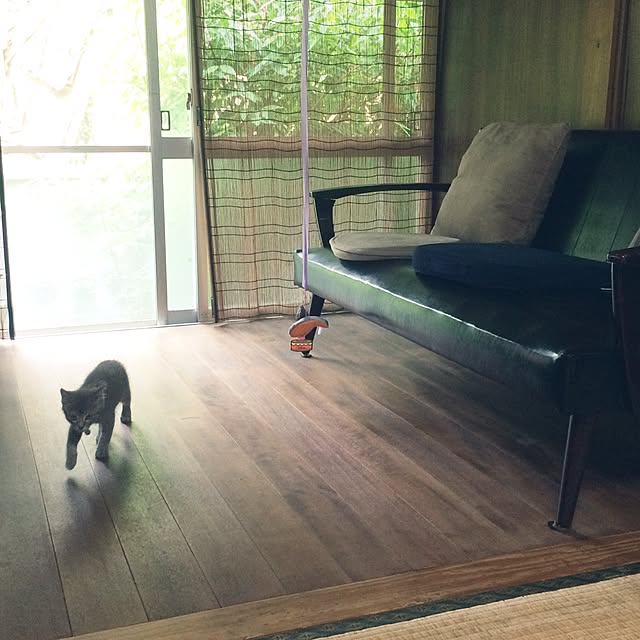 sa-yaさんの実例写真