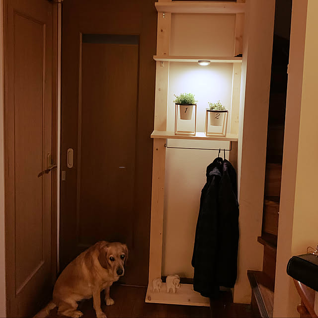taeoさんの実例写真