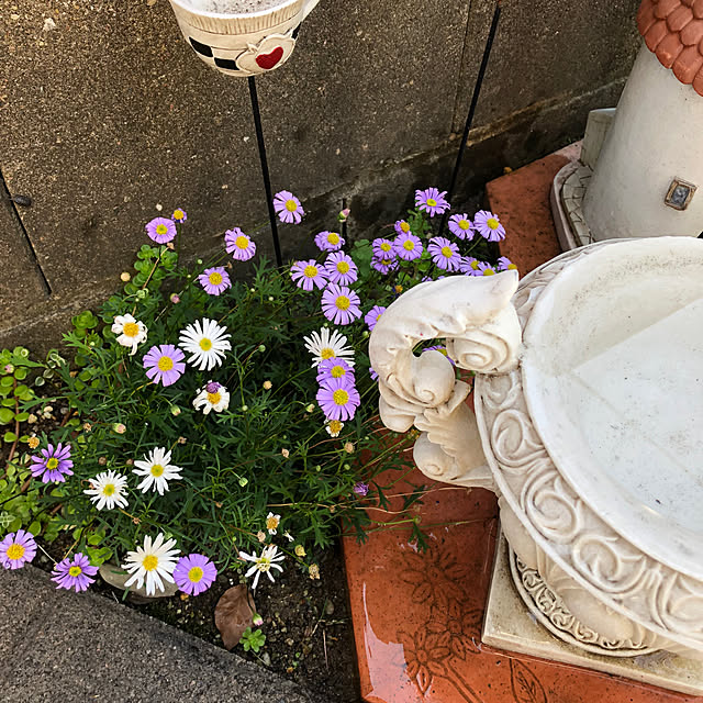 haruminさんの部屋