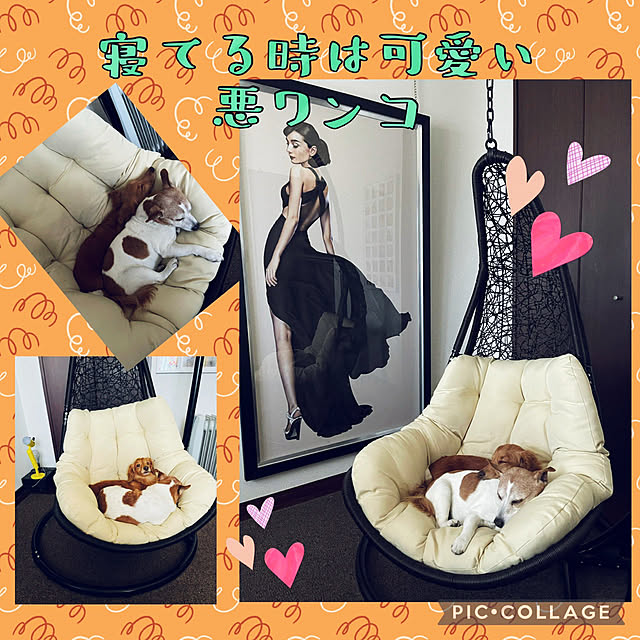 miyuuさんの実例写真