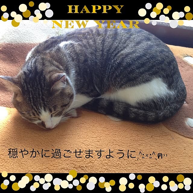 MIMICAさんの実例写真