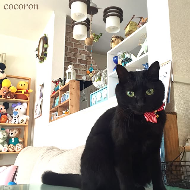 cocoronさんの実例写真