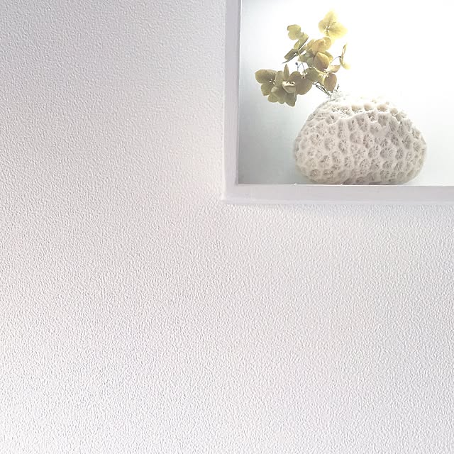 miokiさんの実例写真