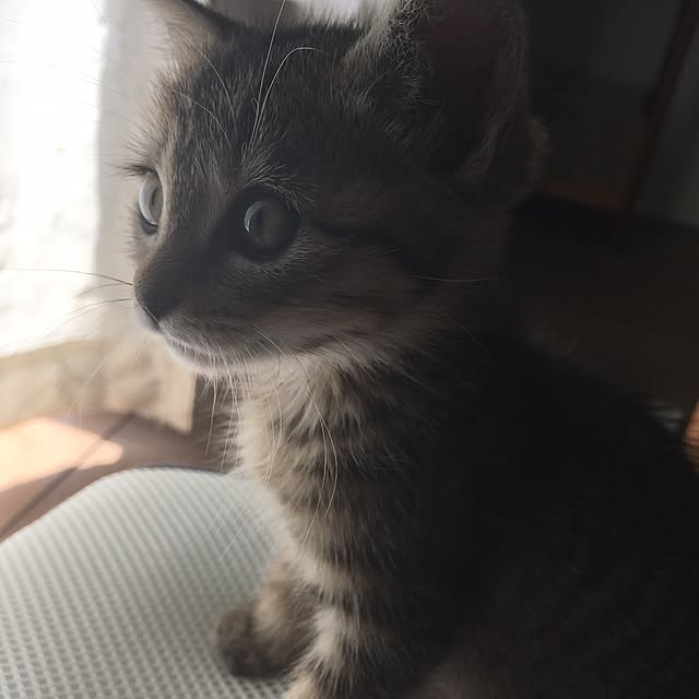 mikomaruさんの実例写真