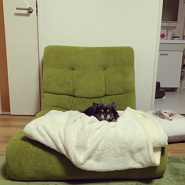 hoshiさんの実例写真