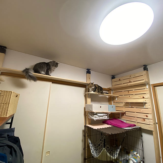 yokoさんの部屋