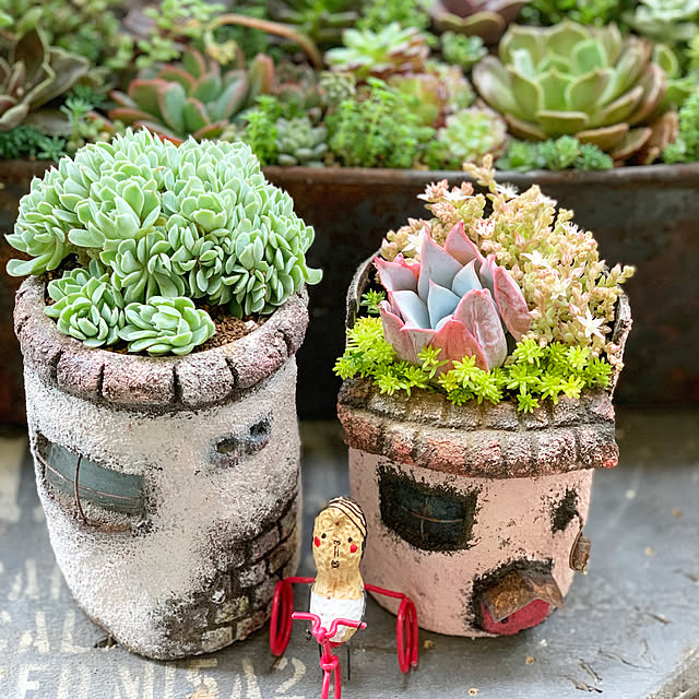 natulove0418さんの実例写真