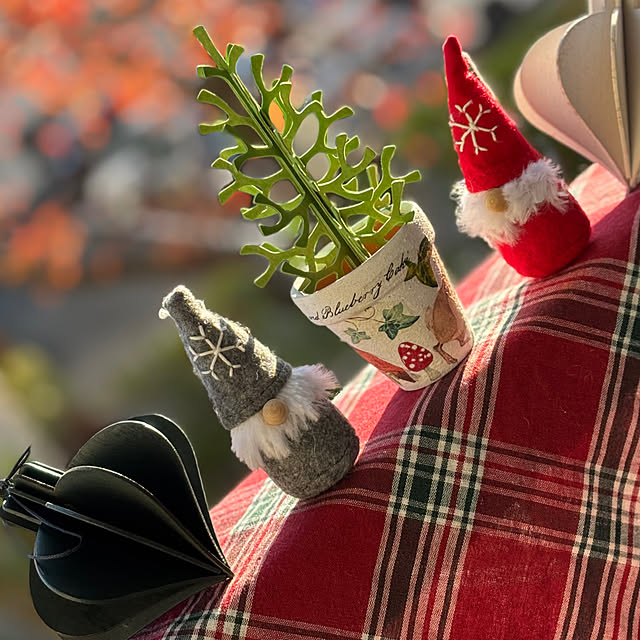 syutmmさんの実例写真