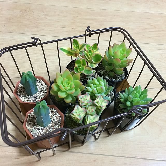 moriさんの実例写真