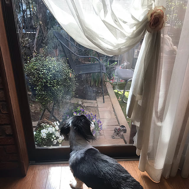 kuremachisu0918さんの実例写真