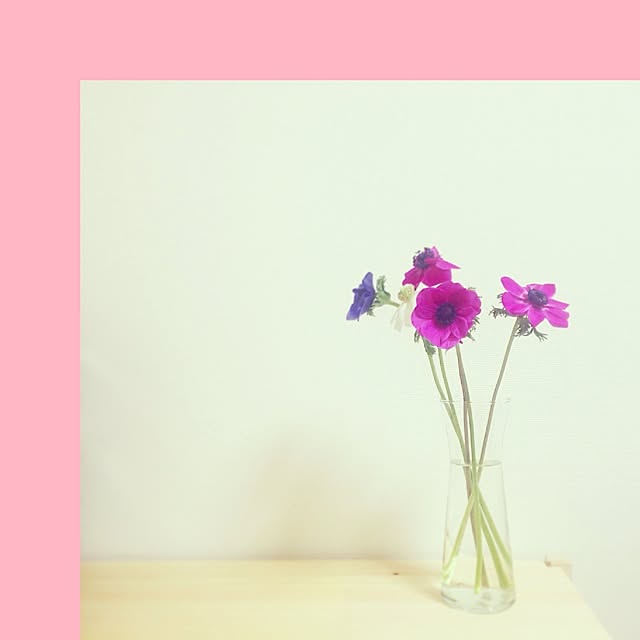 sacraさんの実例写真