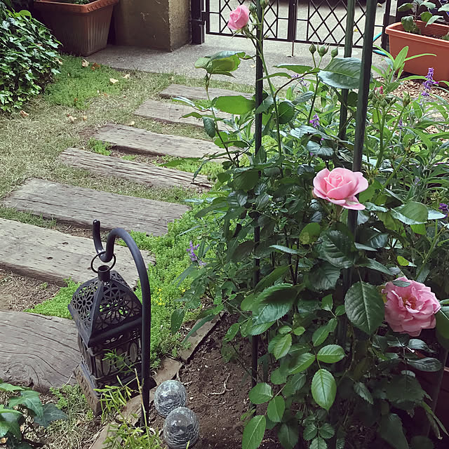 madamkaoriさんの部屋
