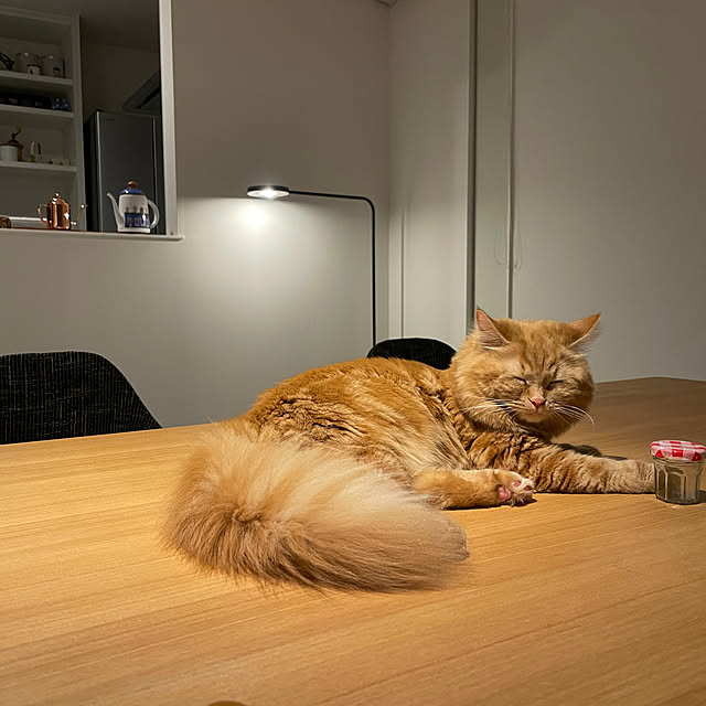 beanさんの実例写真