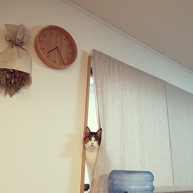 tsuuuuuuunさんの実例写真