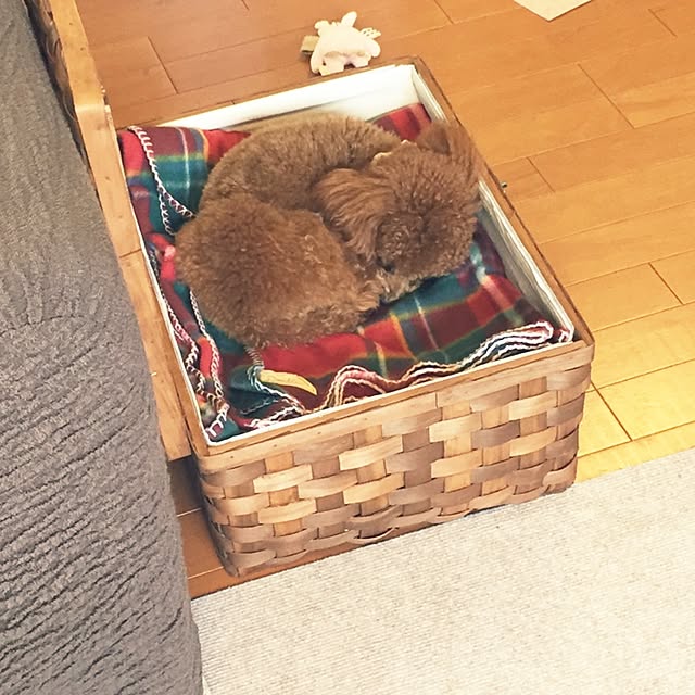 ISM.mumさんの実例写真