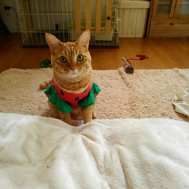 mayutan.さんの実例写真