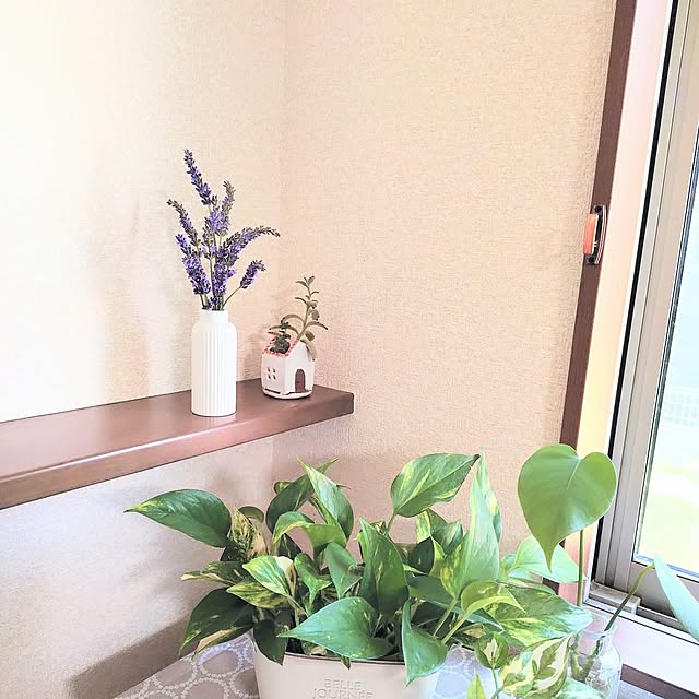 coconathuさんの部屋