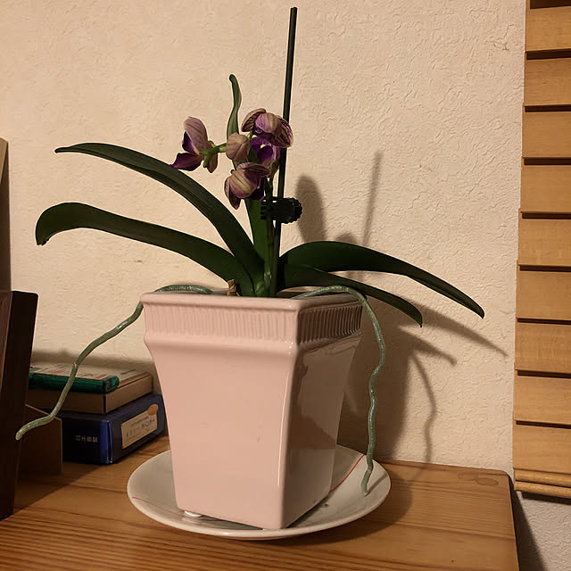 HIDEG5555さんの実例写真