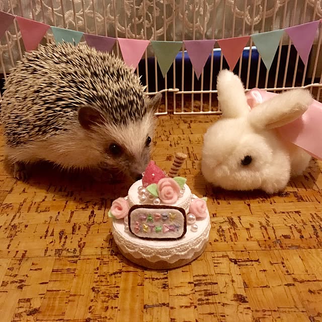 kumanosukeさんの実例写真
