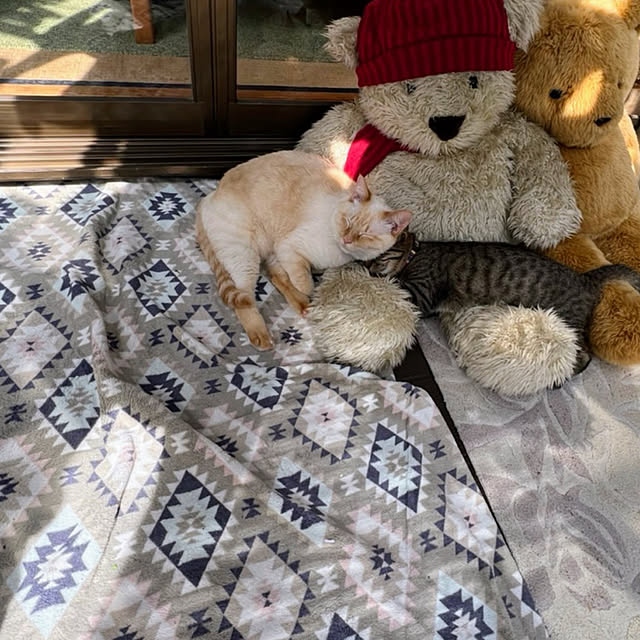mohhaさんの実例写真