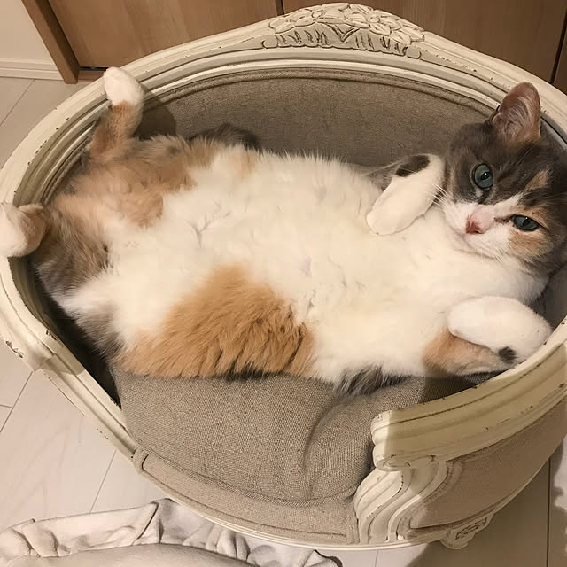 bebeさんの実例写真