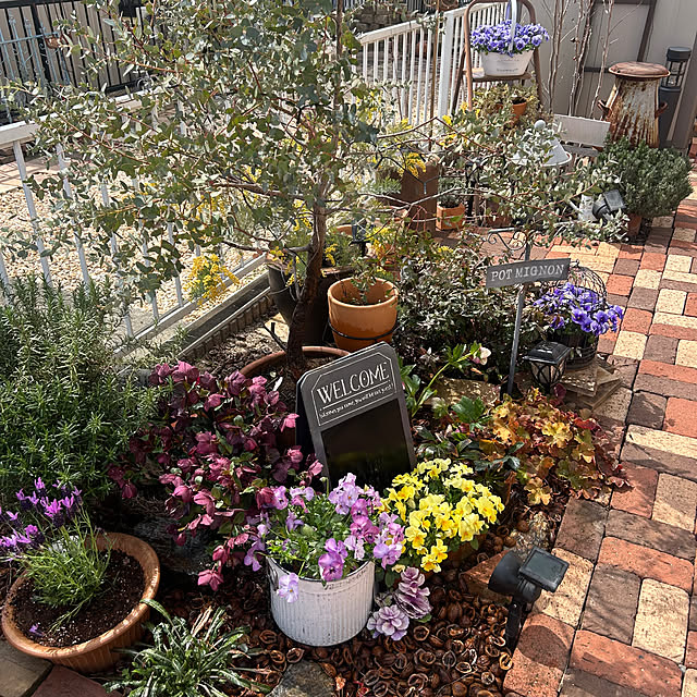 michiさんの部屋