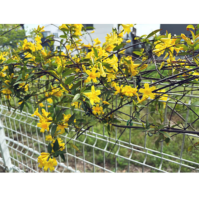 CoCo0617さんの部屋