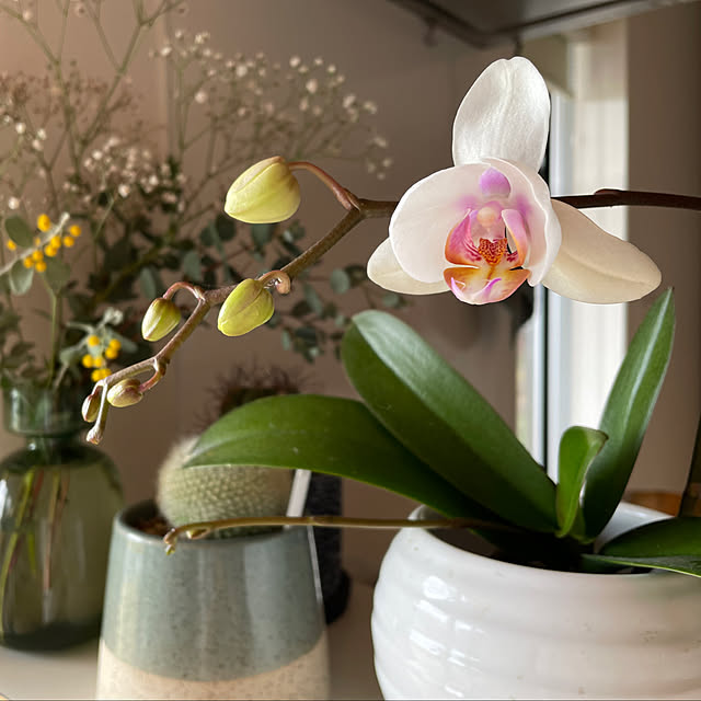 kmys0625さんの実例写真