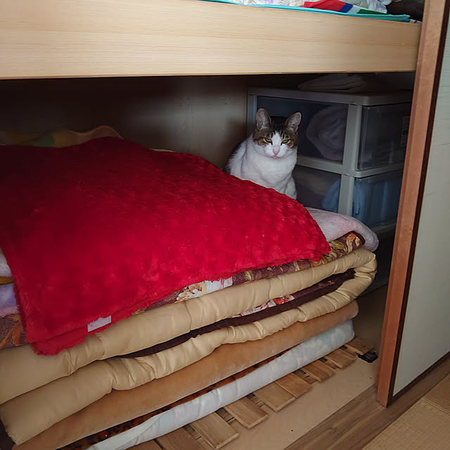 machikomamaさんの実例写真