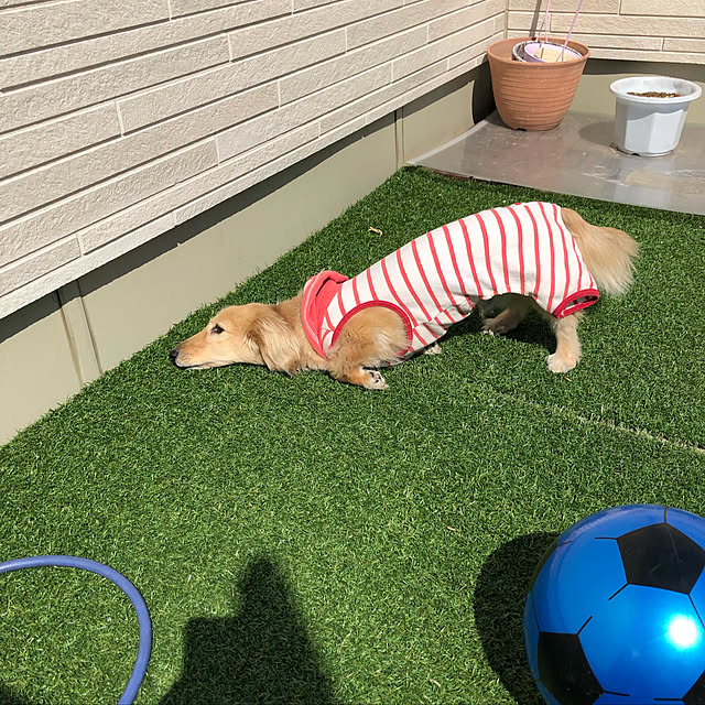 Miiiさんの実例写真