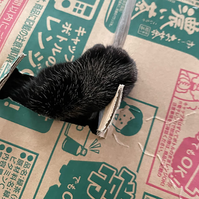momocchiさんの実例写真