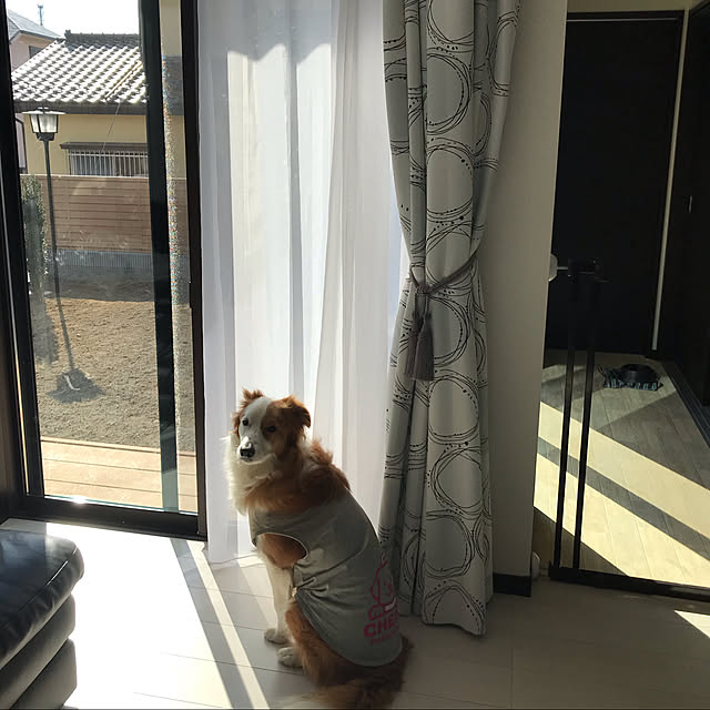yakomaさんの実例写真