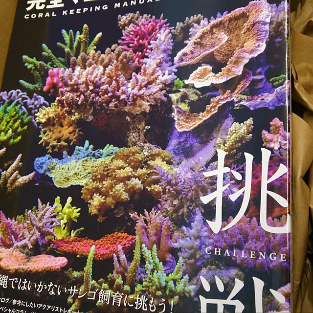 aquarium_seaさんの実例写真