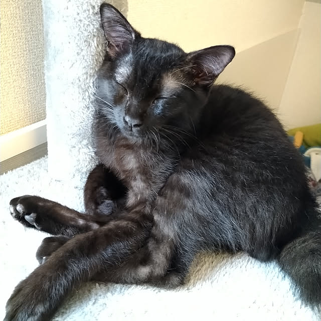 Tさんの実例写真