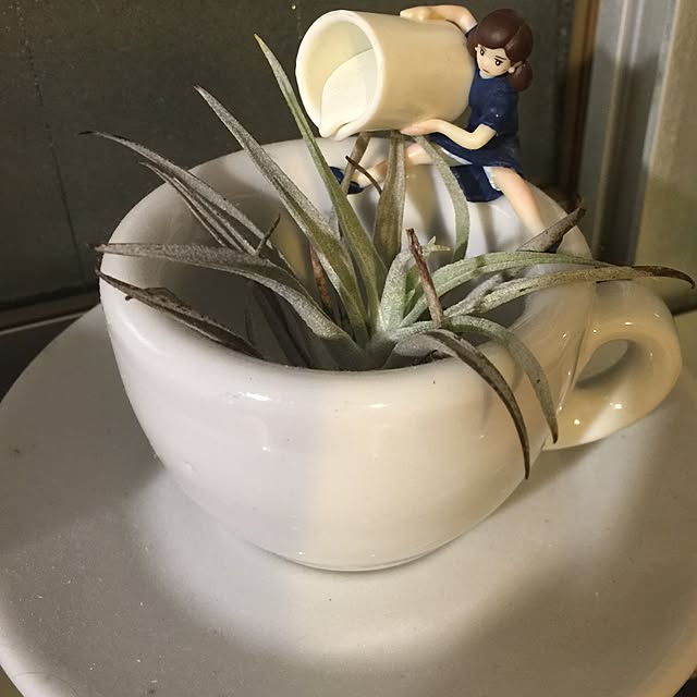 sumisumiさんの実例写真