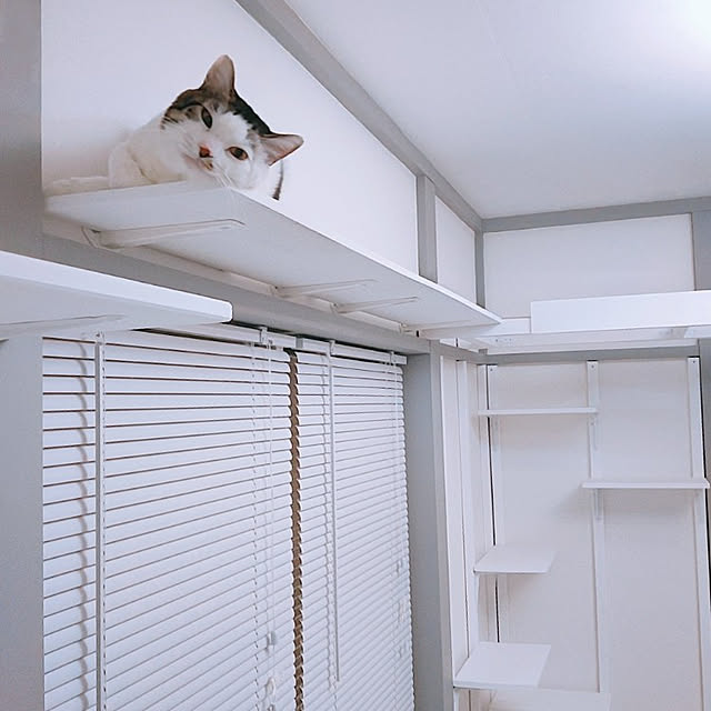 kirakirahikaruさんの実例写真
