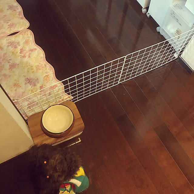 Mayさんの実例写真